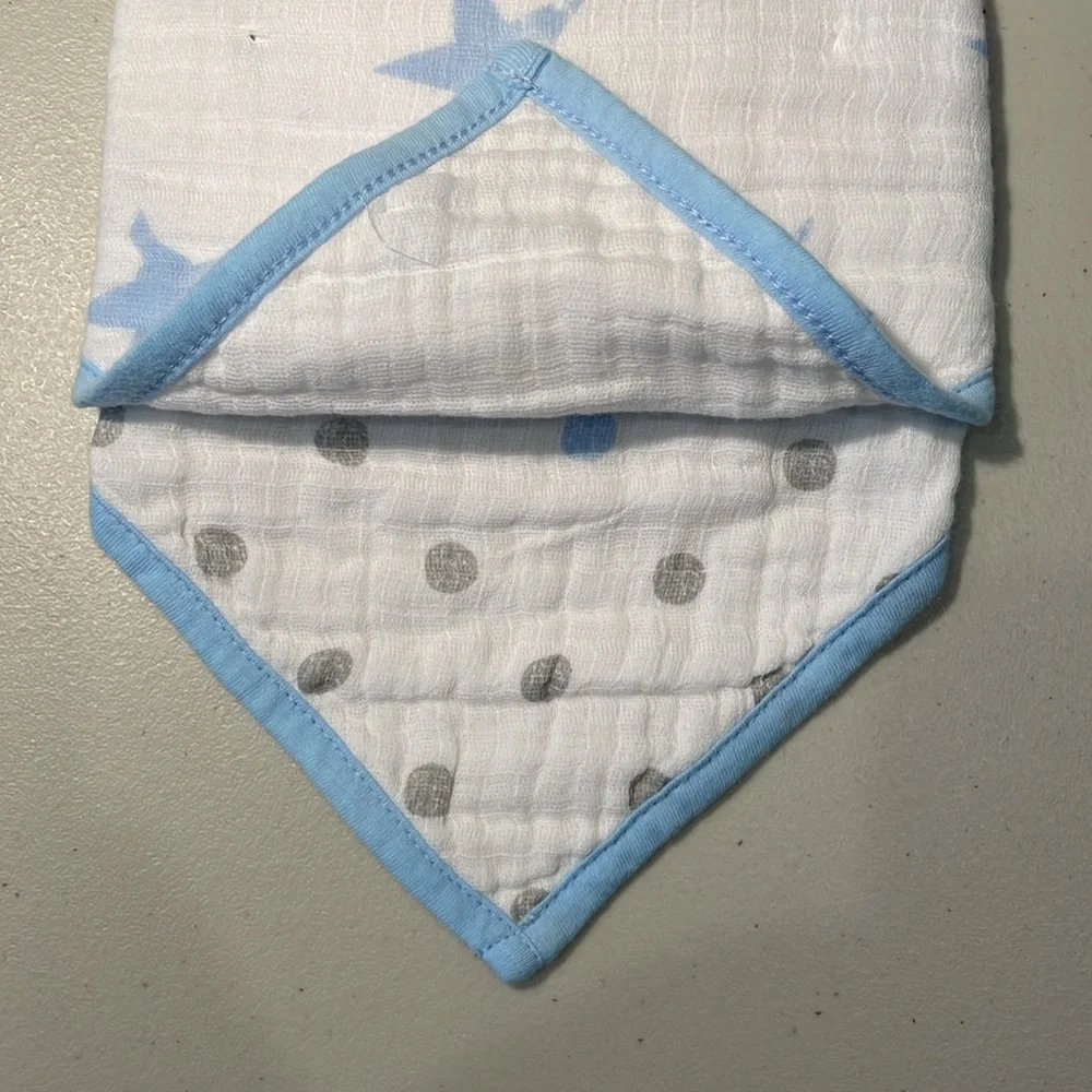 NWT Aden + Anais 2-pack Bandana Bibs